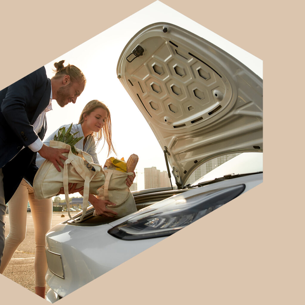 CINC_Webpage_Banners_Sub-page_parking_lift-section